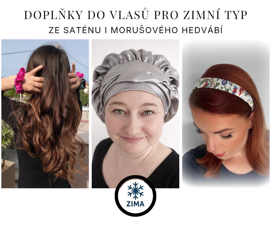 Zimní typ